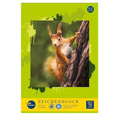 Abbildung von Staufen Edition Dürer Zeichenblock DIN A4, 18 Blatt, geleimt, premiumweißes 100g/m² Recyclingpapier, 4 verschiedene Motive (keine Auswahl möglich), 3 Stück