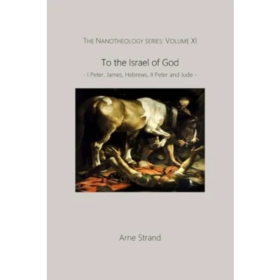 Abbildung von To the Israel of God: I Peter, James, Hebrews, II Peter and Jude (The Nanotheology Series, Band 11)