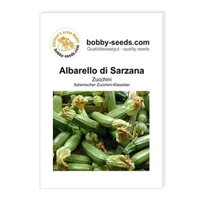 Abbildung von Phacelia 1 Kg Bodenkur/Samen