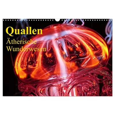 Abbildung von Quallen Ätherische Wunderwesen (Wandkalender 2025 DIN A3 quer), CALVENDO Monatskalender