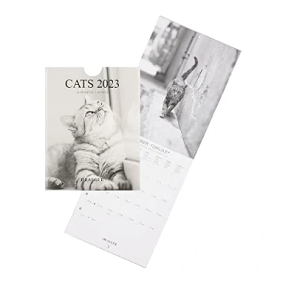Abbildung von Draeger Paris Petit calendrier mural Chats noir et blanc 2023