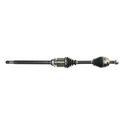 Abbildung von Antriebswelle PASCAL G2F049PC