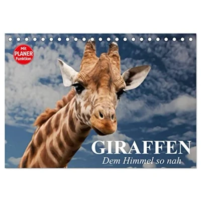 Abbildung von Giraffen. Dem Himmel so nah (Tischkalender 2025 DIN A5 quer), CALVENDO Monatskalender