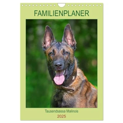Abbildung von Familienplaner Tausendsassa Malinois (Wandkalender 2025 DIN A4 hoch), CALVENDO Monatskalender