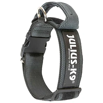 Abbildung von Julius K9 Hunde Halsband mit Griff schwarz/grau