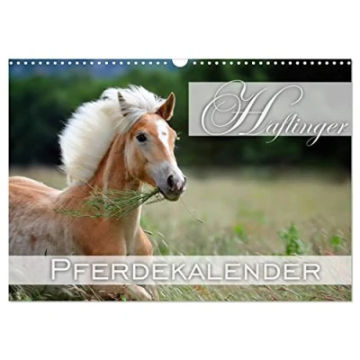 Abbildung von Haflinger/Geburtstagskalender (Wandkalender 2025 DIN A3 quer), CALVENDO Monatskalender