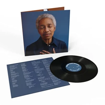 Abbildung von The Ones Ahead [Vinyl LP]