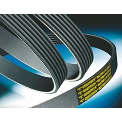 Abbildung von CONTITECH 7PK920 Keilrippenriemen 920 7