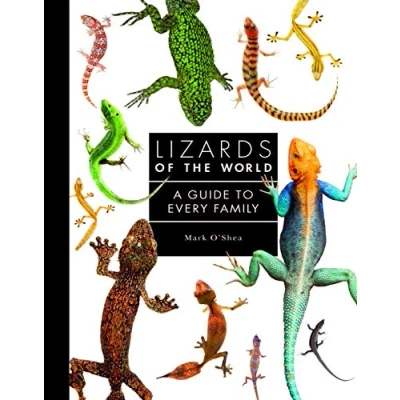 Abbildung von Lizards of the World: A Guide to Every Family