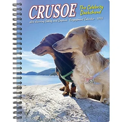 Abbildung von Crusoe the Celebrity Dachshund 2023 Engagement Calendar
