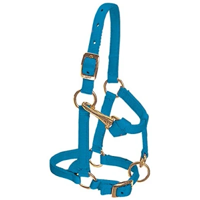 Abbildung von Weaver Leather Halfter für Miniaturpferde, Nylon, verstellbar, Größe L, Hurricane Blue