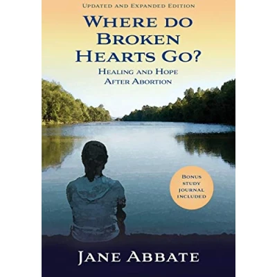 Abbildung von Where Do Broken Hearts Go?: Healing and Hope After Abortion