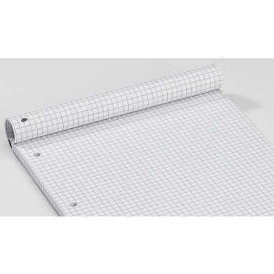 Abbildung von Herlitz 733436 Briefpapierblock A4 100 kariert perforiert, rot
