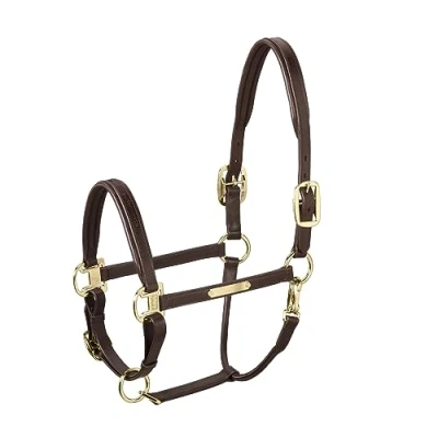Abbildung von Halfter LEATHER ELEGANCE CORE
