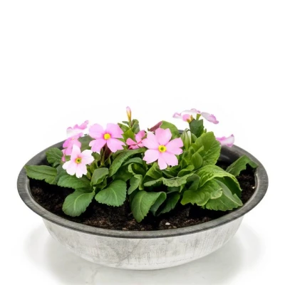 Abbildung von matches21 HOME &amp; HOBBY Blumentopf Zinkwanne Zink Schale als runde Pflanzschale Deko 39,5 x 10 cm (1 St), Metall Garten Pflanzkübel Blumenschale für draußen