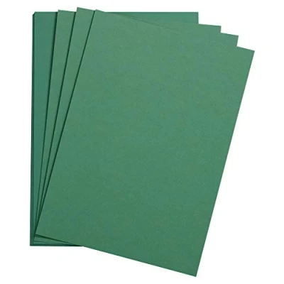 Abbildung von Clairefontaine 90778C Packung mit 25 Bogen Zeichenpapier Etival Color, DIN A3, 29,7 x 42cm, 160g, 1 Pack Dunkelgrün