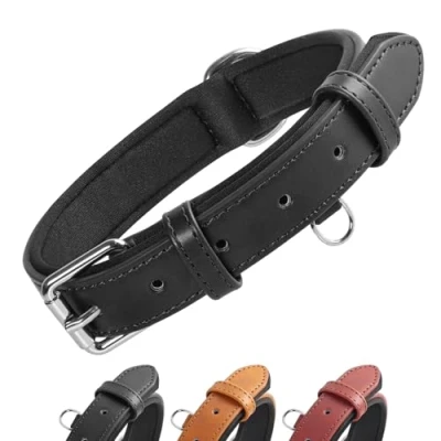 Abbildung von Grand Line Leder Hundehalsband, Lederhalsband Hund mit Weichem Gepolstertes, Breiter und Dicker Verstellbares Halsband Hunde für Kleine, Mittlere, Große (Schwarz, L)