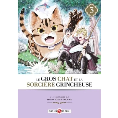 Abbildung von Le Gros Chat et la Sorcière grincheuse vol. 03