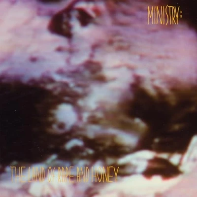 Abbildung von The Land of Rape and Honey(Deluxe Edition) [Vinyl LP]