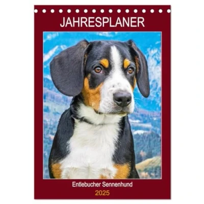 Abbildung von Jahresplaner Entlebucher Sennenhund (Tischkalender 2025 DIN A5 hoch), CALVENDO Monatskalender