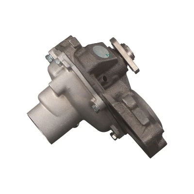 Abbildung von FEBI BILSTEIN 14171 Wasserpumpe mit Dichtung Dichtring Metall FIAT: Punto I Schrägheck