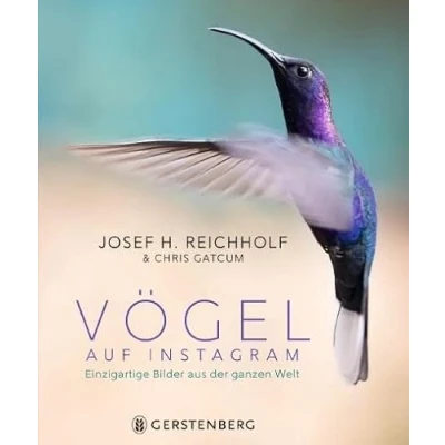 Abbildung von Vögel auf Instagram: Einzigartige Bilder aus der ganzen Welt