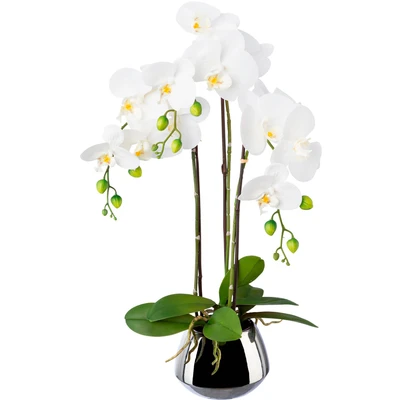 Abbildung von Creativ green Kunstorchidee &quot;Phalaenopsis im Silbertopf&quot;, mit Real Touch Blüten