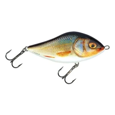 Abbildung von Salmo Slider Sinking 10cm Real Roach
