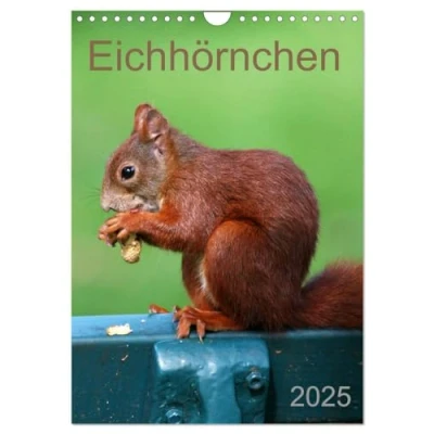 Abbildung von Eichhörnchen (Wandkalender 2025 DIN A4 hoch), CALVENDO Monatskalender