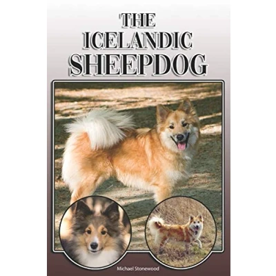 Abbildung von The Icelandic Sheepdog: A Complete and Comprehensive Owners Guide to: Buying, Owning, Health, Grooming, Training, Obedience, Understanding Caring for Your Sheepdog