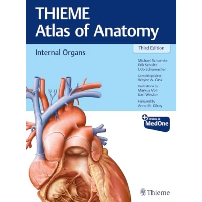 Abbildung von Internal Organs (THIEME Atlas of Anatomy)