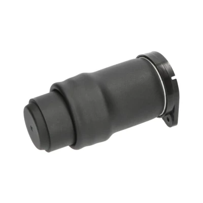 Abbildung von KAVO PARTS SAS 10021 Luftfeder, Fahrwerk Hinterachse MERCEDES BENZ: V Klasse