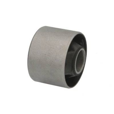 Abbildung von TEDGUM 00673835 Lagerung, Differential Hinterachse, links TOYOTA: RAV4 II SUV, I SUV
