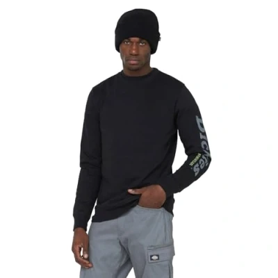 Abbildung von Dickies Okemo Graphic Sweatshirt, Herren, Größe: XL, Black