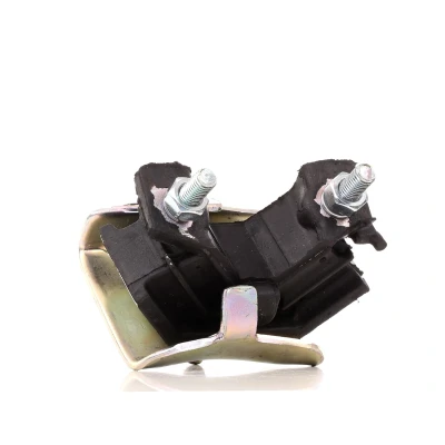 Abbildung von DELPHI TEM002 Motorlager RENAULT: Megane 1, Scenic, 19 II Cabrio