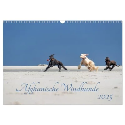 Abbildung von AFGHANISCHE WINDHUNDE 2025 (Wandkalender DIN A3 quer), CALVENDO Monatskalender