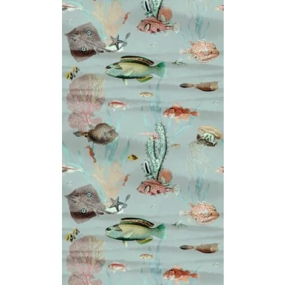 Abbildung von living walls Fototapete &quot;THE WALL III Fisch Tapete Motivtapete Tiere Meer&quot;, matt, Vliestapete Unterwasserwelt für Schlafzimmer Küche Wohnzimmer Fische