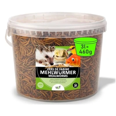 Abbildung von UGF Premium Mehlwürmer getrocknet 3 Liter Eimer 460g, Vogelfutter Wildvögel Ganzjährig, Igelfutter, Eichhörnchen Futter, Hamster Futter