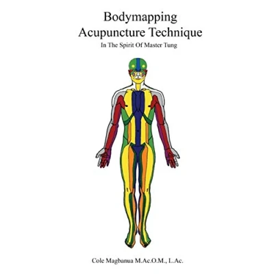 Abbildung von Bodymapping acupuncture technique: In the spirit of Master Tung