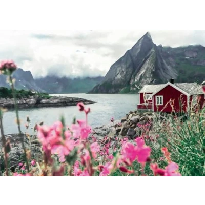 Abbildung von Ravensburger Puzzle Scandinavian Places, Reine, Lofoten, Norwegen, 1000 Puzzleteile, Made in Germany, FSC® schützt Wald weltweit