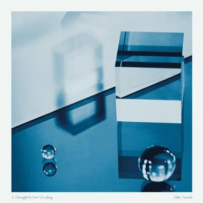 Abbildung von A Thought Is Not Feeling [Vinyl LP]