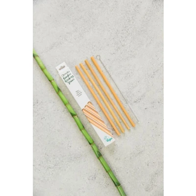 Abbildung von Nordics Organic Care Öko Strohhalme Bambus mit Reinigungsbürste, 60 g