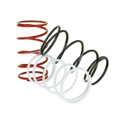 Abbildung von Gegendruckfedern Naraku Sport V.2 3er Set für REX (Jinan Qingqi, Shenke) RS 450 (QM50QT 6A)