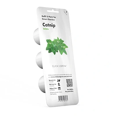 Abbildung von Click &amp;amp Grow Samen für Smart Pot Katzenminze, 3 Stk.