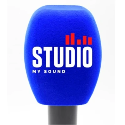 Abbildung von Mikrofon Schaumstoff Windschutzscheiben, personalisiertes Logo für Handgriff Mikrofon, Schaumstoffabdeckungen, gedruckt TV Interview, Rundfunk, Radiosender (blau,