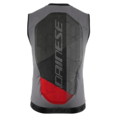 Abbildung von Dainese Men&#039;s Flexagon Waistcoat 2 Man Skischutzweste, Ski Rückenprotektor, Silber/Grau, 3XL