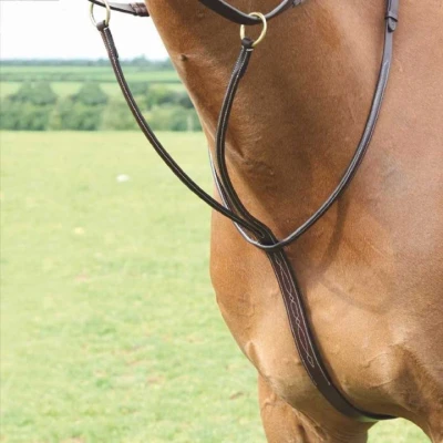 Abbildung von Salisbury Martingal Australian Nut Pony