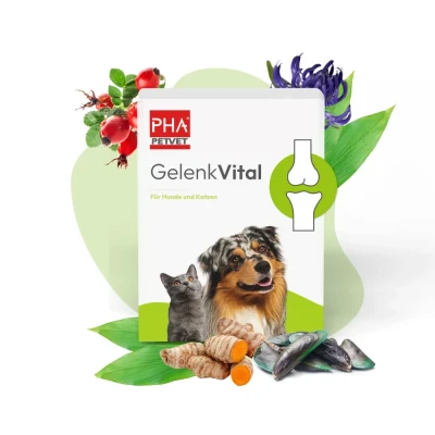 Abbildung von PHA Gelenkvital Erg.futterm.pulver f.Hun 150 g