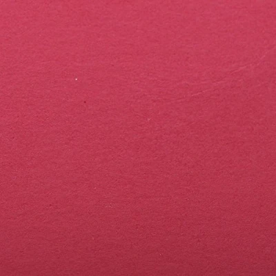 Abbildung von Clairefontaine 90861C Packung (mit 5 Bögen Zeichenpapier Etival Color, DIN A4, 21 x 29,7 cm, 160g, gekörnt, ideal für Trockentechnik und Einrahmen) fuchsia
