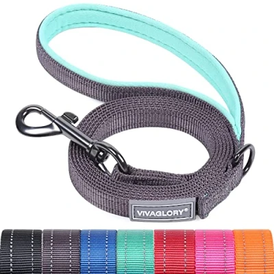 Abbildung von VIVAGLORY Hundeleine, Hundeleine für Spaziergänge mit Bequemer Neopren Gepolsterter Griff, Schwerlast Trainingsleine Kleine bis Mittlere Hunde